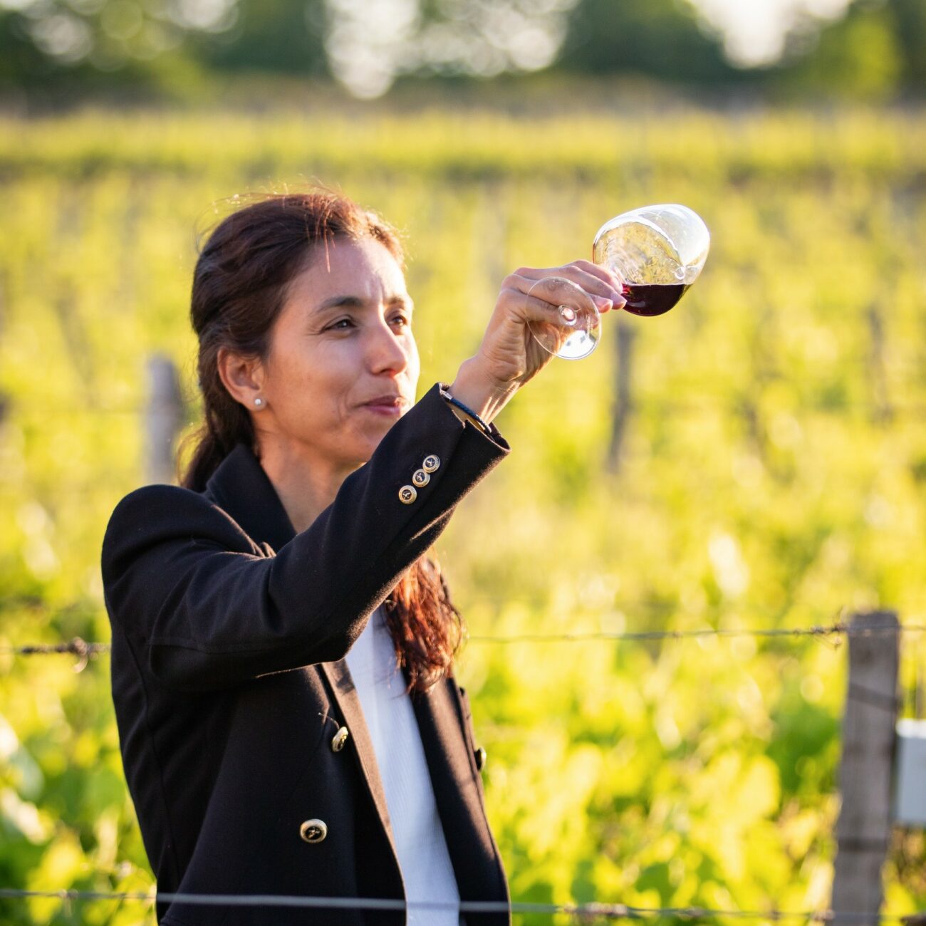 wine tours 2