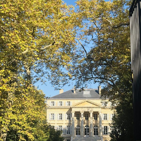 Private tours st émilion by lieux d'expériences