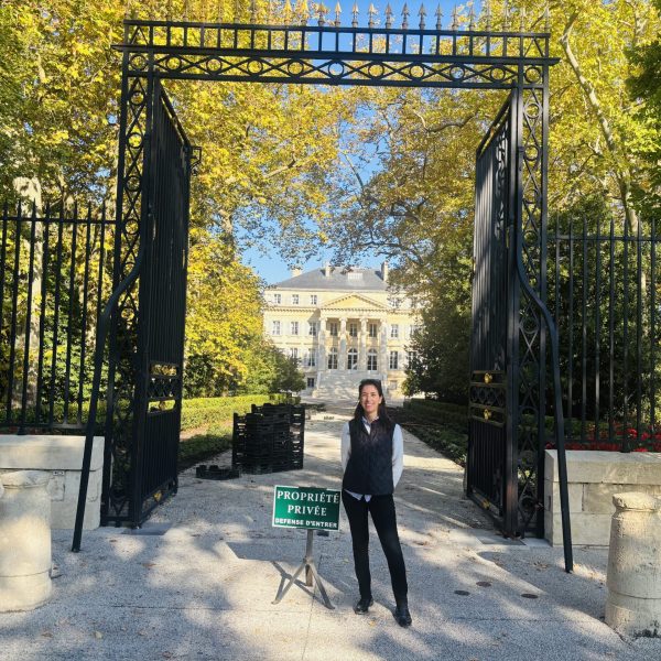 Private tours st émilion by lieux d'expériences