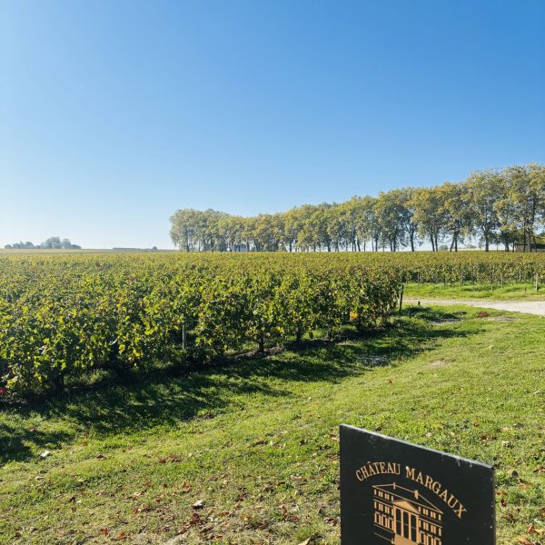 Saint-Emilion wine tours