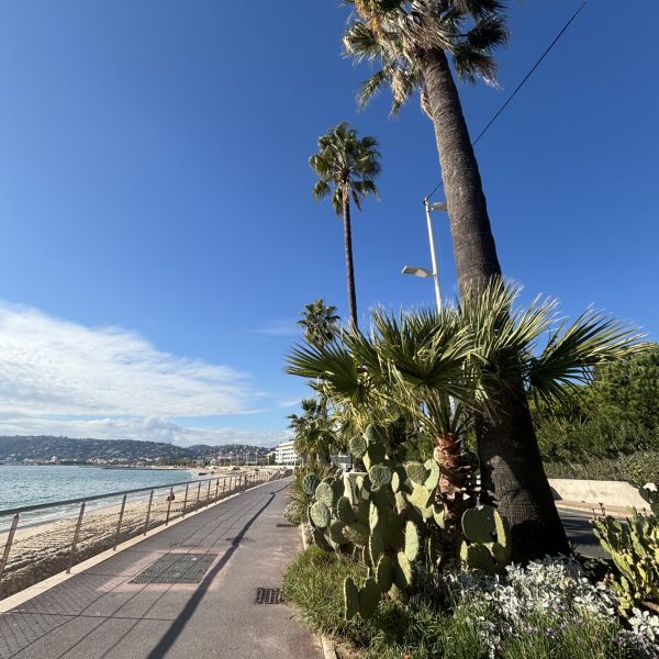 promenade des anglais nice promenade des anglais nice